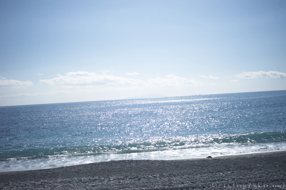 吾妻山公園の花と海 - 26