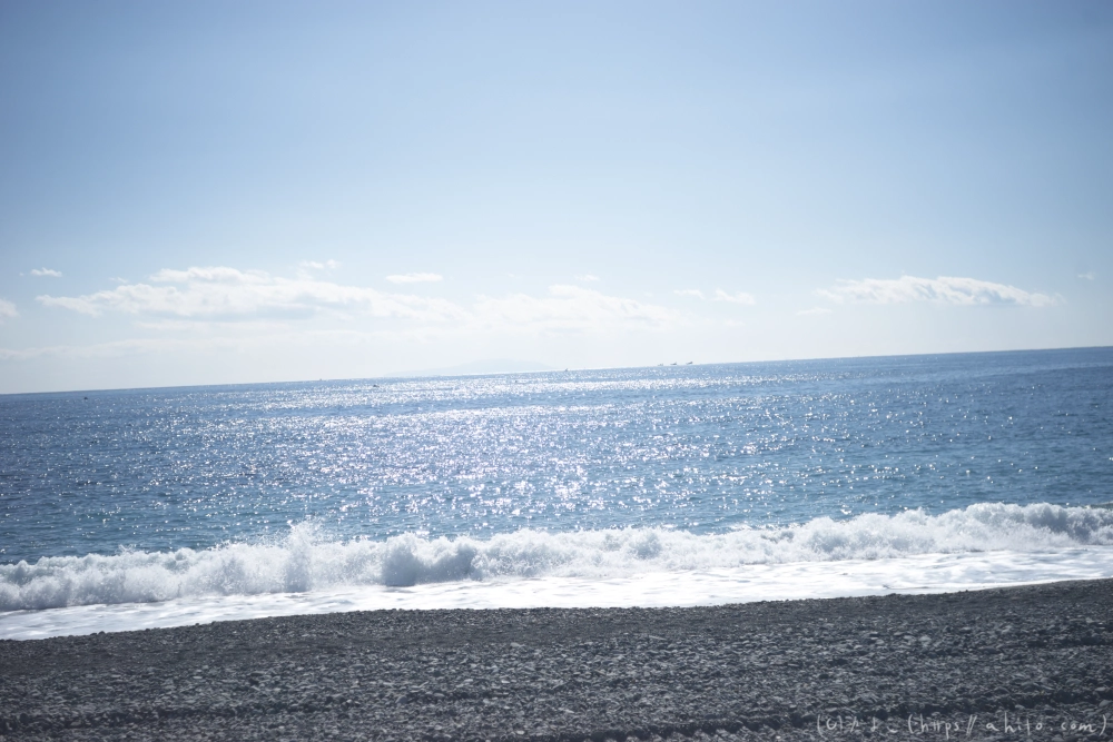 吾妻山公園の花と海 - 27
