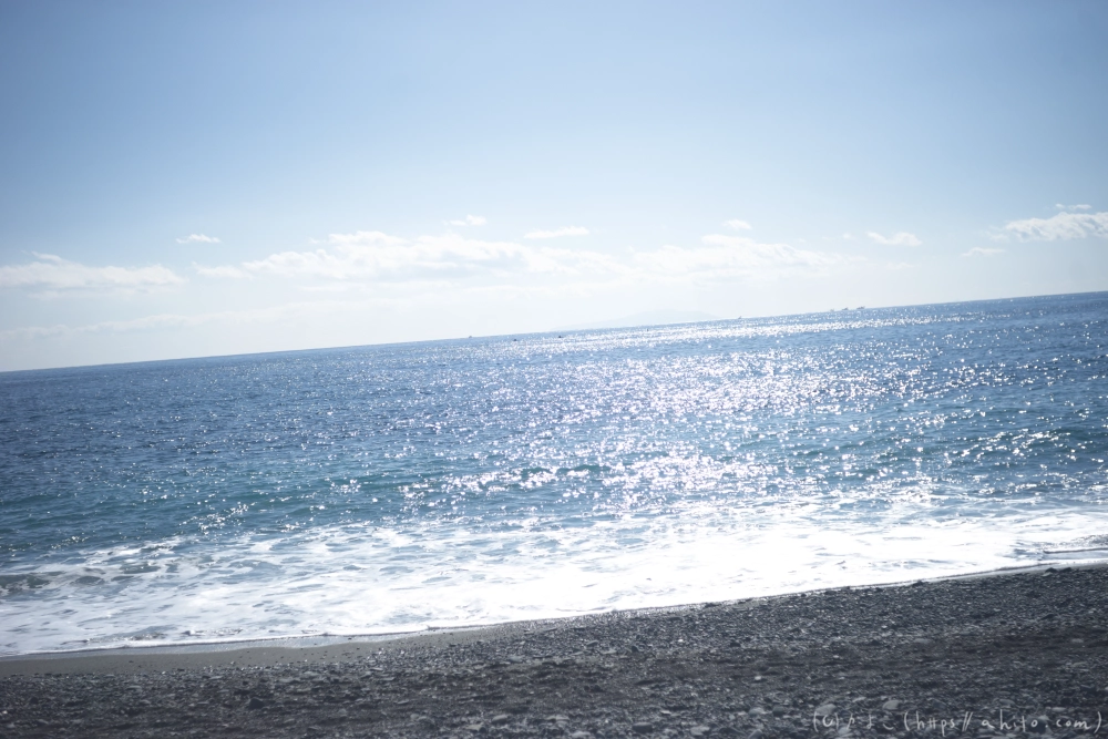 吾妻山公園の花と海 - 28
