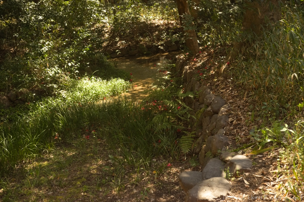 京都旅・下賀茂神社 - 05