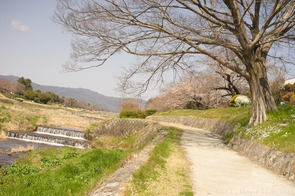 京都旅・賀茂川 - 01