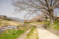 京都旅・賀茂川のイメージ画像