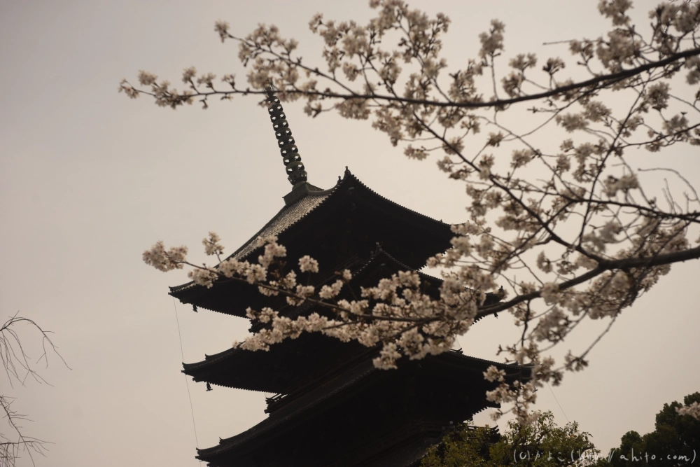 京都旅・鞍馬寺と東寺 - 08