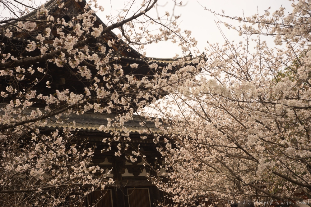 京都旅・鞍馬寺と東寺 - 09